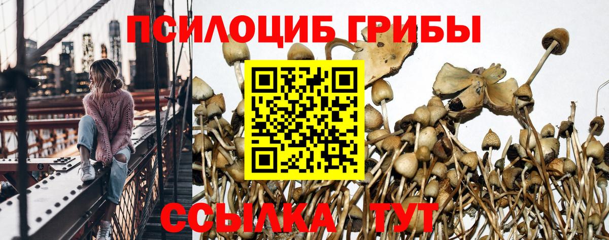 Псилоцибиновые грибы ЛСД Уварово