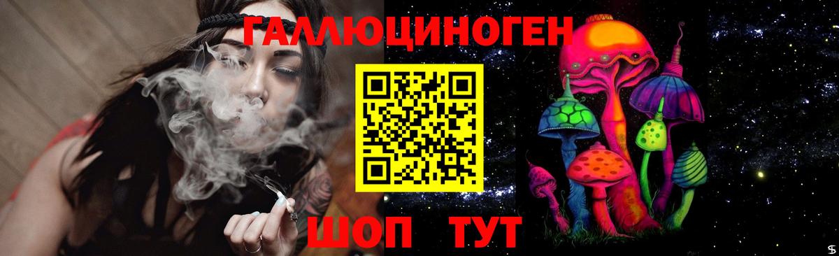 Уварово  Псилоцибиновые грибы Psilocybine cubensis  Вход с VPN 